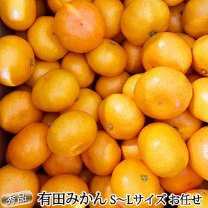 【2026年11月発送】秀品 有田みかん 和歌山県産 S～Lサイズ 大きさお任せ  約10kg_DZ6200_11