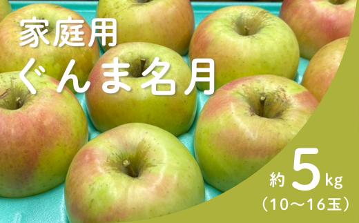 
            KR13-25A りんご ぐんま名月 家庭用 約5㎏（10～16玉） / 11月上旬頃～配送予定 // 長野県 南信州 リンゴ 林檎 名月 訳あり 自家用 農家直送 農家支援 産地直送
          