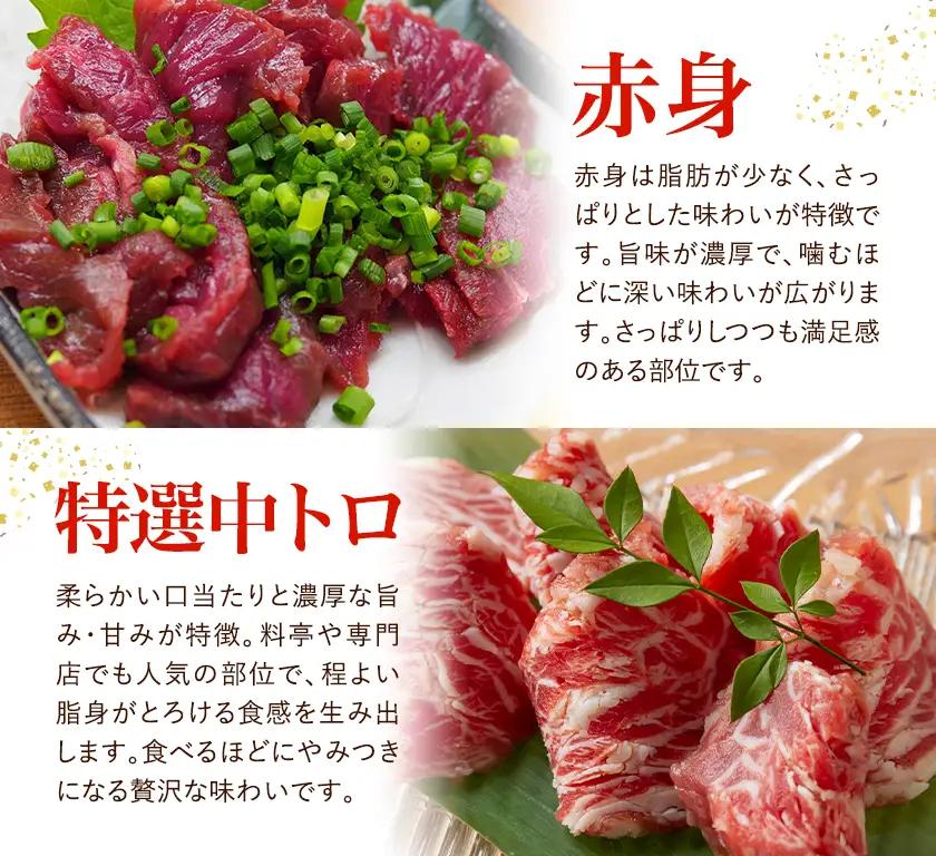 馬刺し 2種セット 計200g 赤身 特選中トロ 馬刺しタレ 有限会社草佳苑《30日以内に出荷予定(土日祝除く)》熊本県 菊池市 馬刺し 馬肉 肉 お肉 赤身 特選中トロ 馬刺しタレ