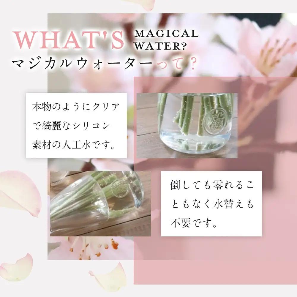 新春　淡雪桜　さくら　魔法の水　マジカルウォーター『薄紅』