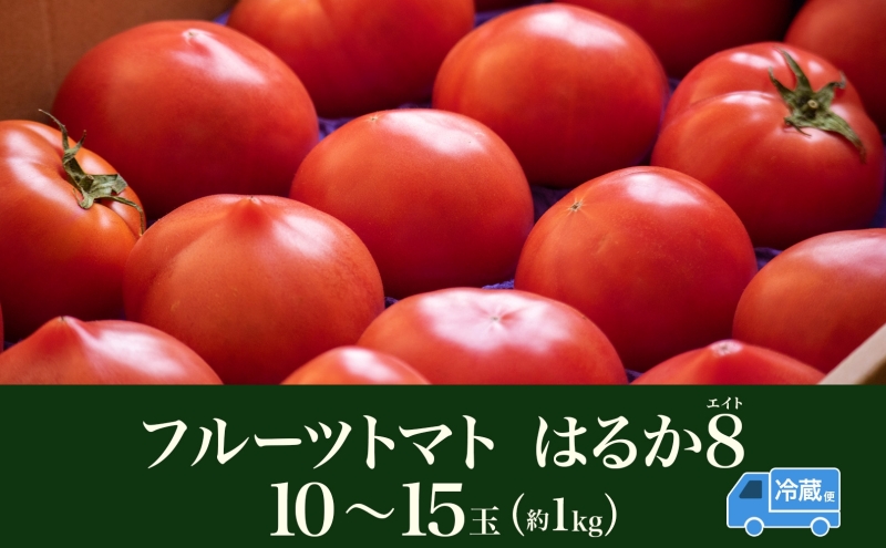 【2025年発送】 糖度8度以上 フルーツトマト はるか8（エイト） 10～15玉 トマト 野菜 夏 野菜 旬 甘い 濃厚 果物 フルーツ 高糖度 新鮮 産地直送 北海道 美深町