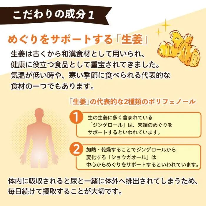 No.1285-A てまひま にんにく卵黄生姜(1袋 62粒入り・2袋×3回)  鹿児島 日置市 ニンニク 健康食品 栄養 元気 カプセル 安全安心 生姜 サプリ サプリメント 定期便 頒布会 【てま