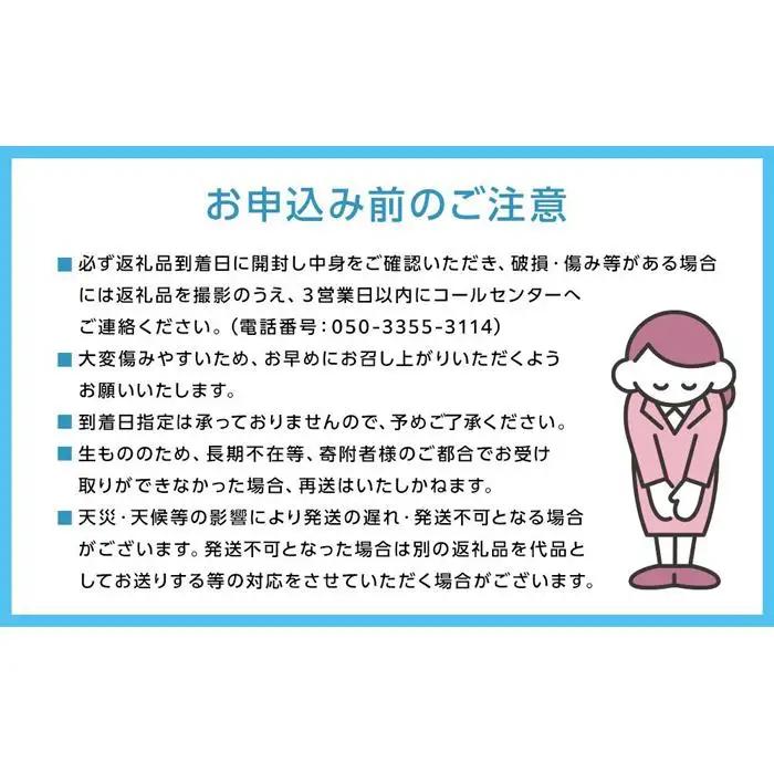 ぶどう 2026年  特選 岡山のぶどう詰合せ-4
