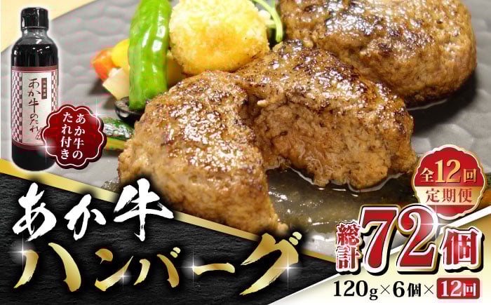 
                  【全12回定期便】あか牛 100％ハンバーグ セット 120g×6個【有限会社 三協畜産】  赤牛 褐牛 あかうし 褐毛和種  冷凍 国産 牛肉  [ZEB083]
                