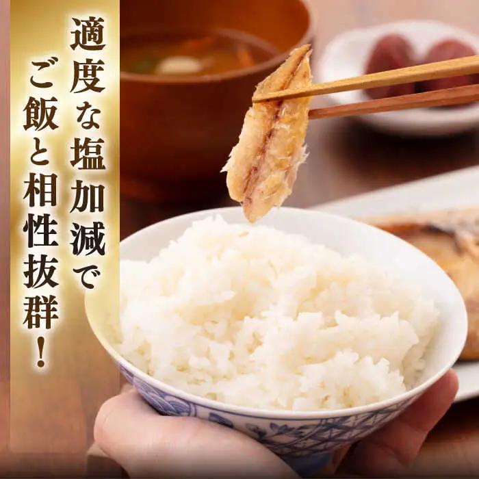 【全12回定期便】厳選 干物 セット [JAQ019] ひもの