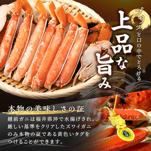 越前ガニ ボイル 姿 1杯 約600g～700g未満 茹で ずわいがに 年末配送