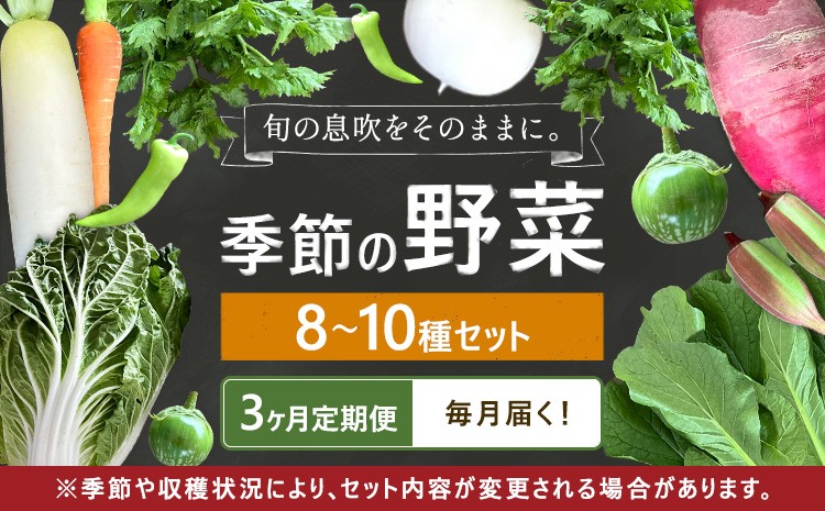 
                  野菜 詰め合わせ お任せ セット 季節の野菜セット (8~10種) 3ヶ月定期便 自然野菜のら 《お申込み翌月から出荷》　千葉県 我孫子市 旬 青果物 やさい【配送不可地域あり】(沖縄・離島) 野菜 セット
                