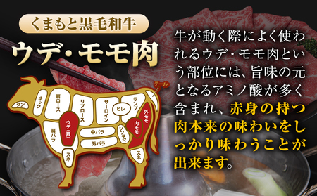 くまもと黒毛和牛 ウデ・モモスライス 2000g (500g×4) 2kg 牛肉 冷凍 《30日以内に出荷予定(土日祝除く)》 くまもと黒毛和牛 黒毛和牛 牛肉 肉 冷凍 個別 取分け 小分け 個包装