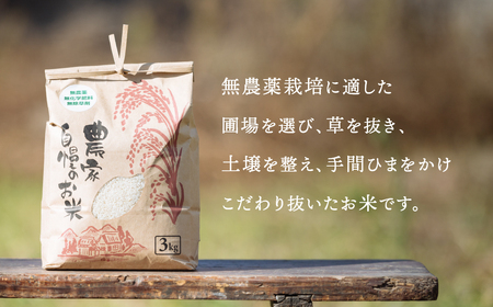 茨城県下妻市産 なごみ米（コシヒカリ） 精米 3kg　【お米 コシヒカリ 米 無農薬 無化学肥料 無除草剤 精米 ブランド米 茨城県産】