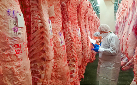 博多和牛 厚切り ヒレ ステーキ 200g×5枚＜久田精肉店＞那珂川市 牛肉 ヒレ肉 シャトーブリアン ヒレステーキ ステーキ 牛肉 肉 黒毛和牛 ブランド牛 国産  BBQ バーベキュー  1000