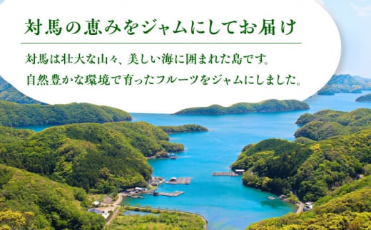 対馬のフルーツジャム 6本(3種類以上)セット《対馬市》【対馬コノソレ】フルーツ 果肉 詰め合わせ ジューシー 朝食 食べ比べ 島の瞳 ゆず ジャム ソース [WAM019]