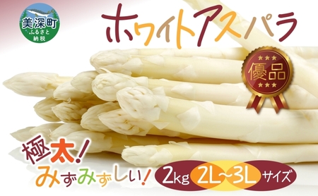 2026年発送  ホワイトアスパラ 2kg(2L～3L ）【優品】 白旬 新鮮 野菜 朝採れ アスパラ アスパラガス ギフト 産地直送 お取り寄せ フレッシュ 甘い 春 春野菜 旬の味覚  季節 送料