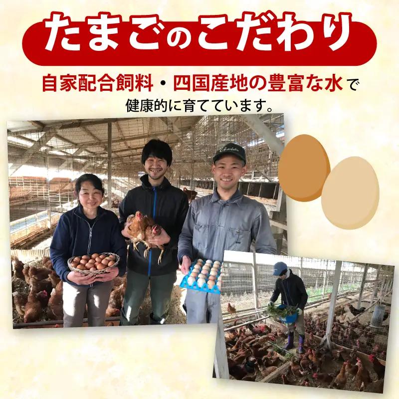 【土佐ジローの卵と平飼い卵 セット】 計40個(各20個)