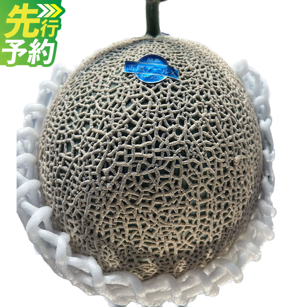 【ふるさと納税】 マスクメロン（アールスメロン） 1玉入り（1.5kg以上） メロン 果物 くだもの 果実 フルーツ おやつ 先行予約 熊本県産 国産 常温 送料無料 【2027年5月下旬～6月下旬迄順次発送予定】