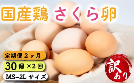 定期便 卵 30個  ( たまご 25個 + 割れ補償 5個 ) 2回 2ヶ月 定期便 国産 鶏 さくら 簡易包装 コクのある 濃い 卵黄 風味 とれたて 生 たまご  滋賀 地産地消  国産鶏 玉子 産みたて 新鮮 卵 かけご飯 たまご かけごはん 玉子 丼  卵 焼き すき焼き 目玉 焼き 玉子 スープ 茶碗蒸し ゆで たまご 卵 サンド滋賀県 竜王町