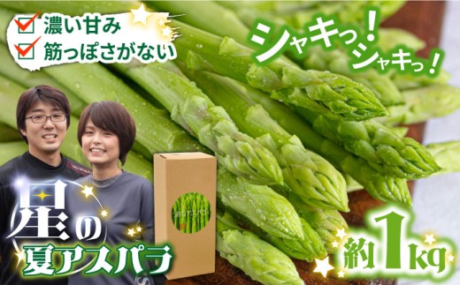【2026年5月下旬～発送】【数量限定】甘い！柔らかい！【星のアスパラ】厳選 グリーン アスパラガス 1kg / アスパラ あすぱら アスパラ あすぱら 厳選 あすぱらがす アスパラ 採れたて 新鮮 旬 産地直送 野菜 2L・L・Mサイズ  ミックス / 南島原市 / ほしのYA [SEY001]