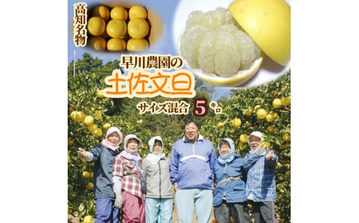 【先行予約】早川農園の土佐文旦（５kg） 柑橘 フルーツ みかん ミカン 果物 果実 5キロ ザボン ぶんたん ブンタン おやつ デザート 甘い 美味しい ギフト 土佐 名物 国産【R00345】