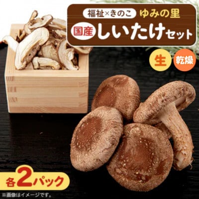 【農福連携】千葉県館山産しいたけセット(生しいたけ110g×2パック・乾燥しいたけ30g×2パック)【配送不可地域：離島・沖縄県】