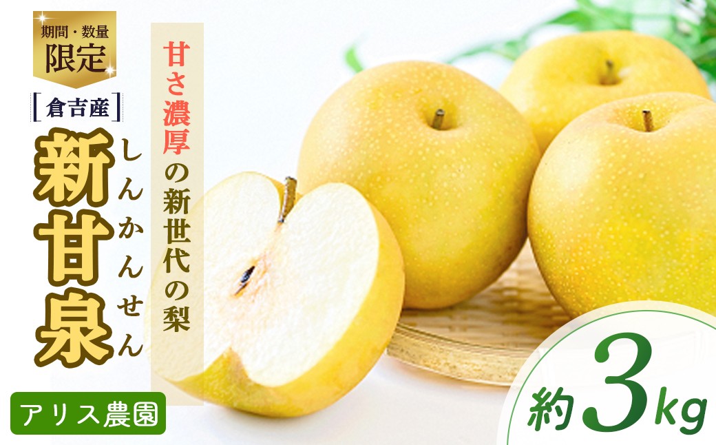 
                  新甘泉3kg 【倉吉産】（アリス農園） 鳥取 梨 果物 フルーツ 和梨 先行予約 数量限定 詰め合わせ 新甘泉 しんかんせん
                