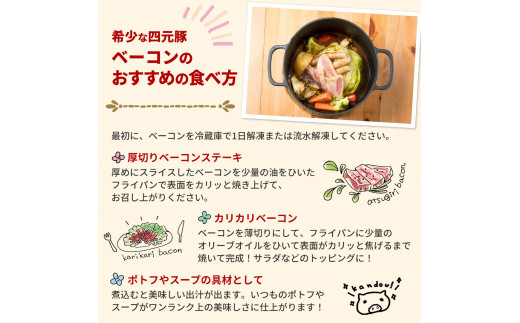 【定期便6ヶ月】GIFTON  岩手県産 四元豚  グルメセット B  1.2kg 【1230】