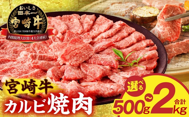 
            【選べる内容量】宮崎牛カルビ焼肉｜宮崎牛 カルビ焼肉 カルビ 牛カルビ 肉 牛肉 お肉 精肉 牛 国産牛 焼肉用 バーベキュー ブランド牛 黒毛和牛 和牛 国産 宮崎県産 500g 1kg 2kg 小分け パック 冷凍 プレゼント 贈り物 ギフト お歳暮 グルメ お取り寄せ 人気 焼肉 BBQ アウトドア キャンプ 人気 おすすめ オススメ 宮崎 宮崎県 宮崎市｜_M389-009-SKU
          