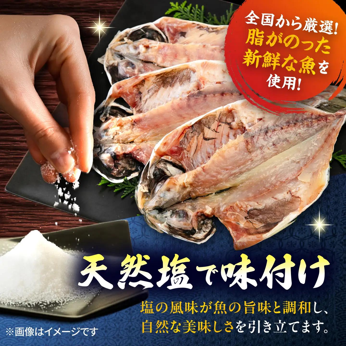訳あり 干物 真アジの干物 1.4kg（20枚前後） [AKCX013]
