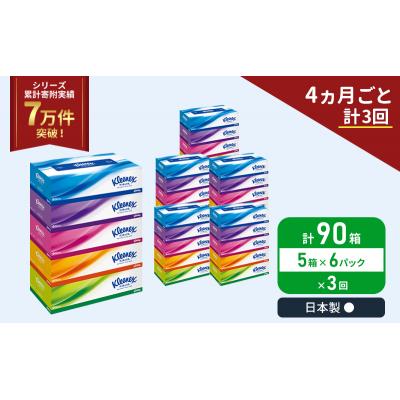 ふるさと納税 岩沼市 定期便 ティッシュ クリネックス ティシュー 5箱入×6P《計3回》 [No.5704-1042] |  | 01
