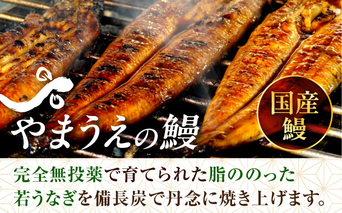 大村 鰻づくし （2） （うなぎかば焼き2箱・うなむすび2個） [ACZL004]