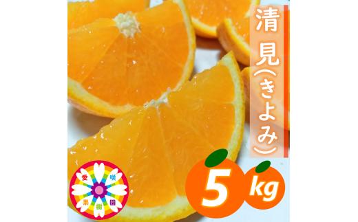 【先行受付】愛咲果樹園 「 清見 」約5kg＜C71-14＞_ みかん ミカン 柑橘 くだもの 果物 フルーツ 清見 きよみ ジューシー 甘い 常温 デザート 産地直送 産直 愛媛 人気 【1344729】 YWTS012
