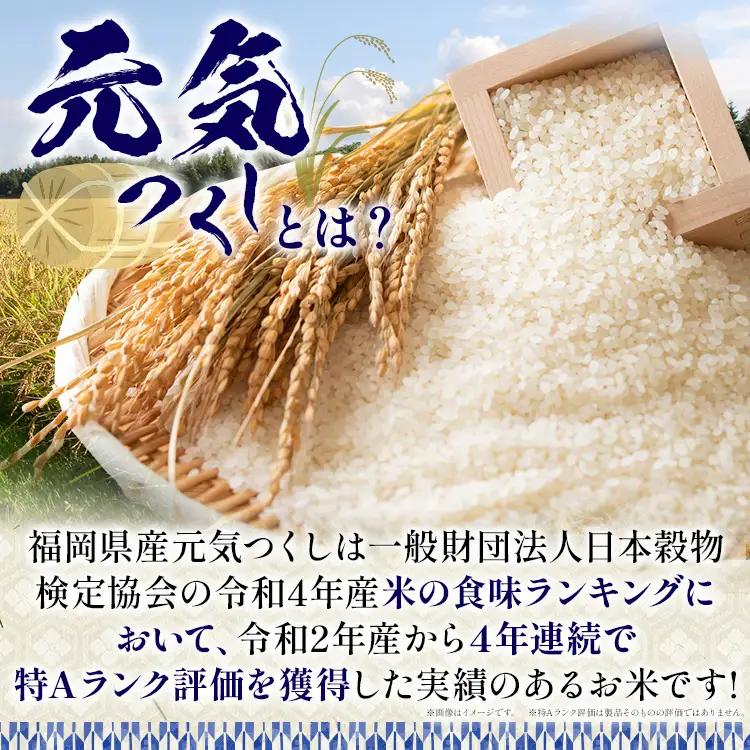 【無洗米】令和7年産 金のめし丸 元気つくし 精米 10kg（5kg×2） 米 無洗米 元気つくし 森光商店 老舗 福岡 お米 ごはん ご飯 お弁当 おにぎり 金のめし丸県産米 福岡ブランド米 めし丸