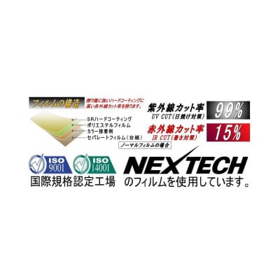 リア (b) エクストレイル T31 (5%) カット済み カーフィルム NT31 DNT31
