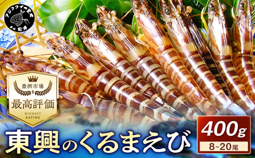 【先行予約】【宅配BOX不可】東興のくるまえび400g入【11月下旬～12月発送】( くるまえび 東興のくるまえび 車海老 海老 エビ )【B6-029-12】