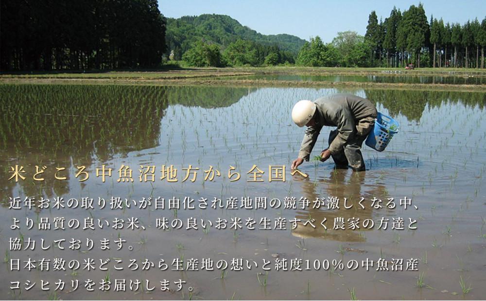 【6ヶ月定期便】令和7年産新米 魚沼産コシヒカリ「金印」高食味米 10kg×全6回127534-042