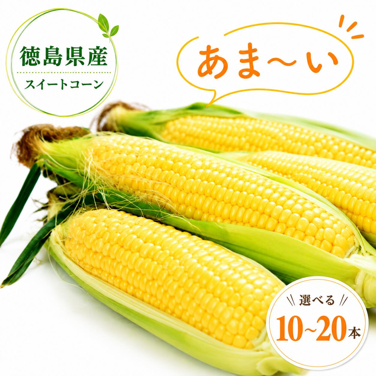 【ふるさと納税】【先行予約 出荷2026年8月～】スイートコーン おおもの 選べる 5kg 10kg 10 ~ 20本 徳島県産 甘い とうもろこし ゴールドラッシュ 大きい サイズ 野菜 BBQ 産地直送 徳島県 三好市 朝採れ 冷蔵 高糖度 コロッケ トウモロコシ ギフト お中元 バーベキュー