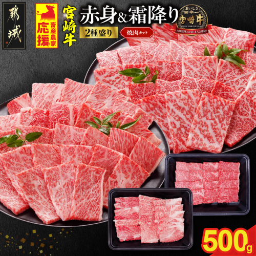 畜産農家応援! 宮崎牛焼肉2種セット250g×2パック_13E-N2-002-500