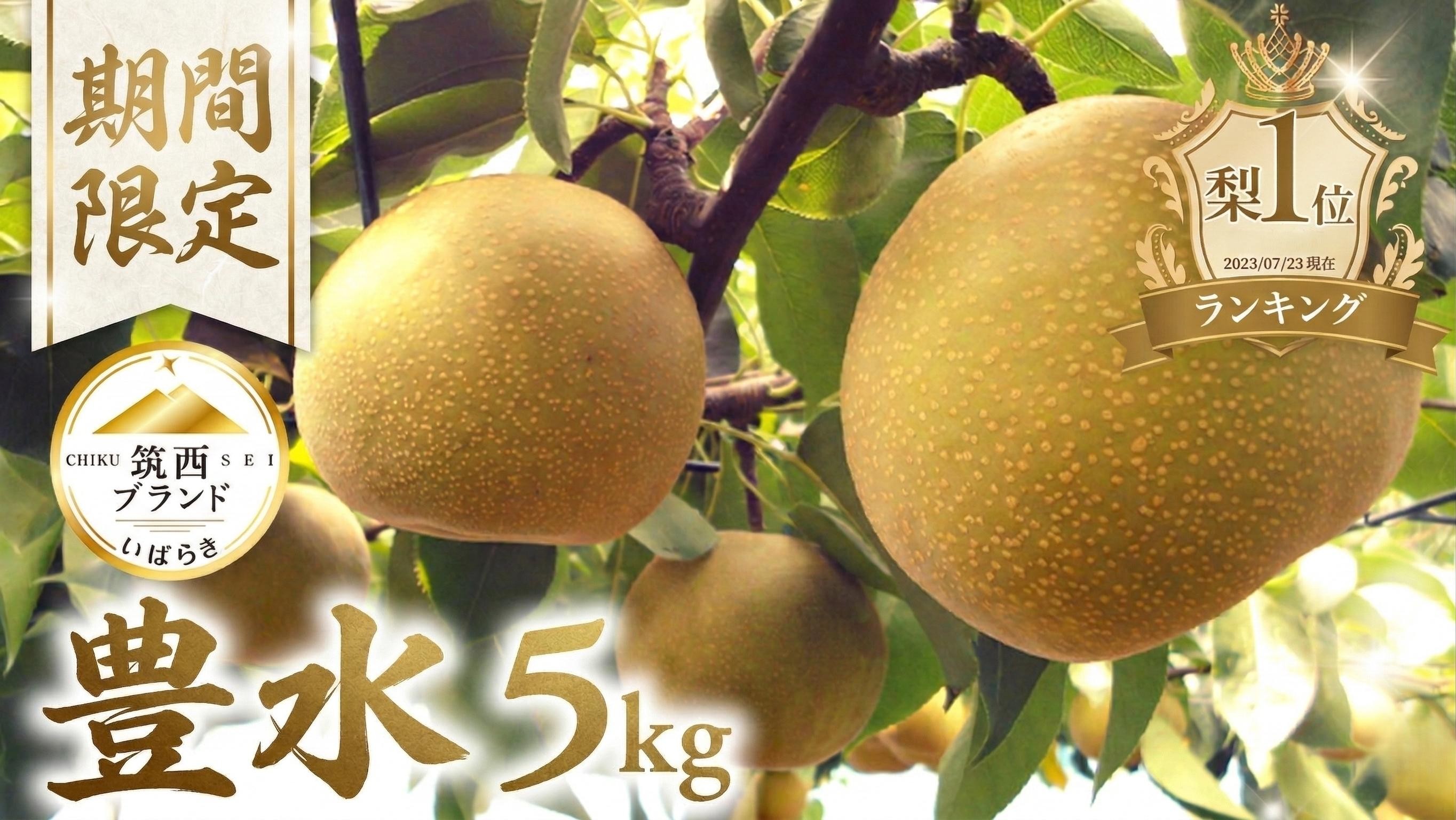
                  梨 豊水 約 5kg (8～14玉) 1箱  なし ナシ 5キロ ほうすい梨 旬の梨 和梨 果実 豊水梨 酸味 甘み 品種 果肉 果汁 たっぷり 果物 くだもの デザート フルーツ fruit nasi 2026年産 先行予約 旬の果物 旬のフルーツ 高評価 大人気 おすすめ 特産品  茨城県産 JA 北つくば 関東 茨城 筑西
                