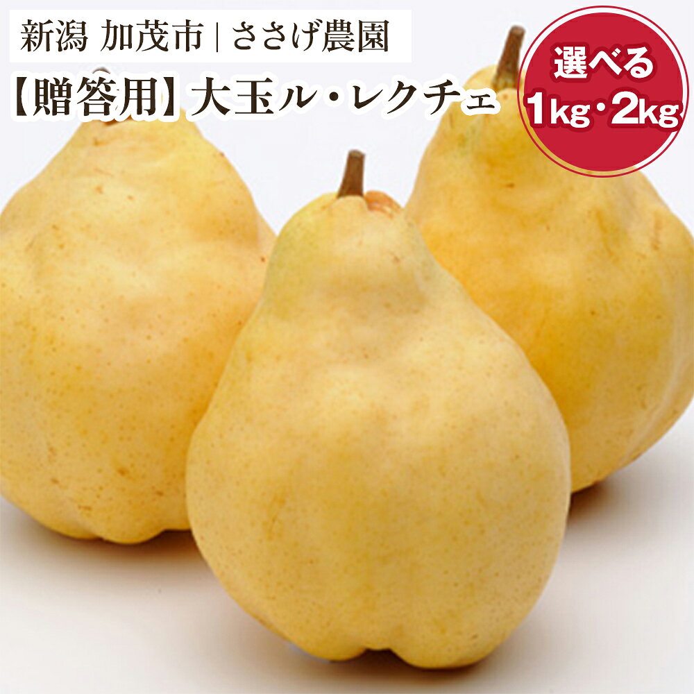 【ふるさと納税】【2026年先行予約】新潟特産 幻の洋梨ル・レクチェ プレミアム （大玉）「1kg」or「2kg」 《11月下旬～順次出荷》 果物 フルーツギフト 冬の味覚 産地直送加茂市 ささげ農園