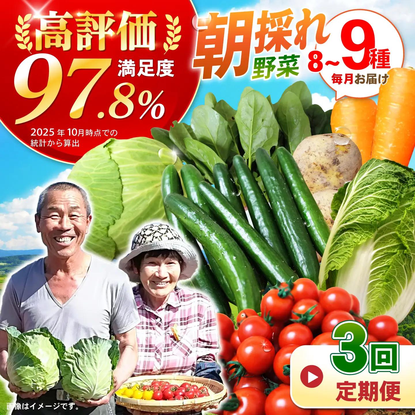 野菜 3回定期便 諫早産野菜の詰め合わせ8・9品目程度 [AHDI001]