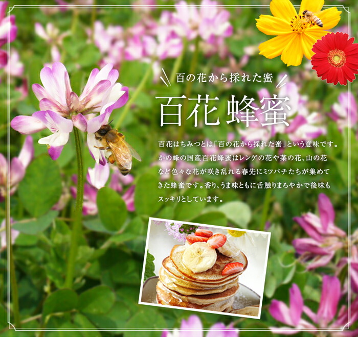 ＜国産＞かの蜂 百花蜂蜜【1kg】養蜂一筋60年自慢の一品 花の蜜 美容 蜂蜜 非加熱 国産 はちみつ ハチミツ 瓶タイプ 完熟 天然 常温 保存 備蓄 防災食 非常食 保存食 防災グッズ 福岡県 八