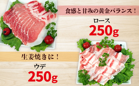 チャ―グー4種食べ比べ1kg（250g×4P） 沖縄 チャーグー アグー ブランド豚 旨み ジューシー ヘルシー 沖縄料理 しゃぶしゃぶ ステーキ ロースカツ バラ モモ ウデ ロース 豚肉 人気 高