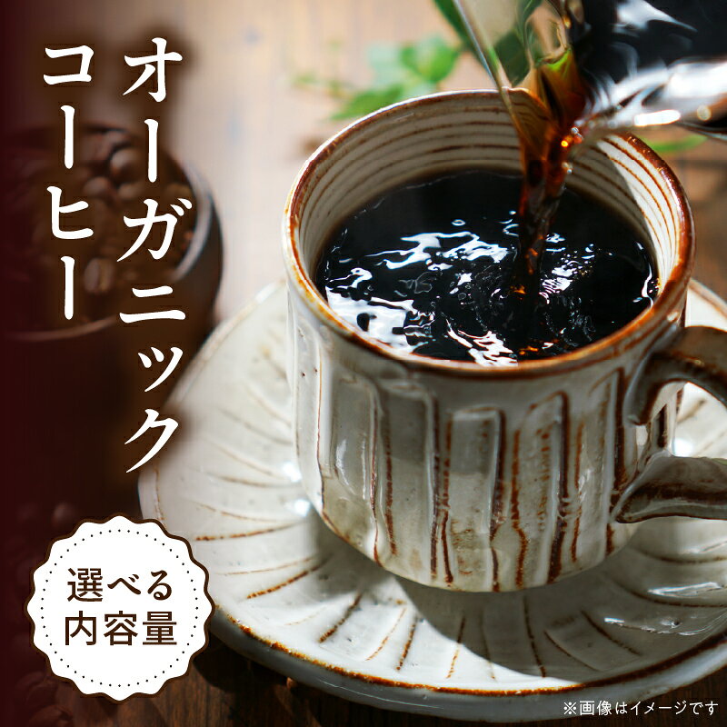 【ふるさと納税】【内容量が選べる】オーガニックコーヒー コーヒー コーヒー豆 粉 コーヒー粉 ドリップバッグ ドリップコーヒー ブレンドコーヒー 自家焙煎 自家焙煎珈琲 オーガニック 有機 グアテマラ産 エチオピア産 ペルー産 東ティモール産 プレゼント 宮崎県 宮崎市