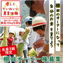 【ふるさと納税】【3組限定】養父市大屋町加保の棚田　棚田オーナー権(2025年収穫分)【1392233】