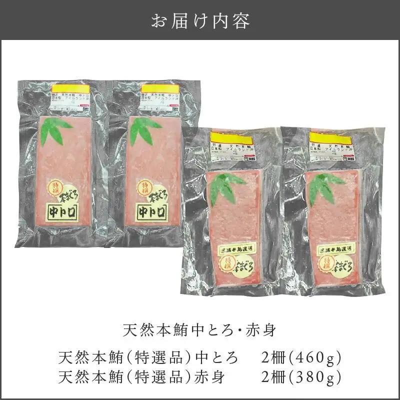 天然 本鮪 中とろ 2柵 ・ 赤身 2柵 M007-008-01 冷凍 マグロ