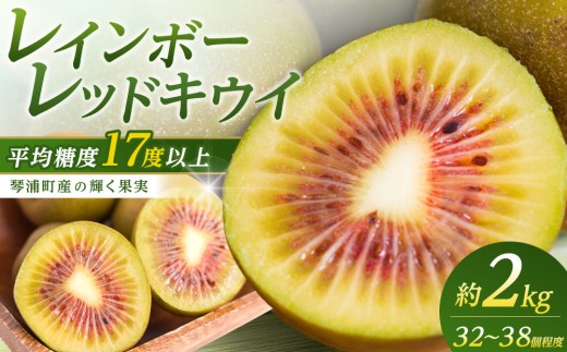 
                  キウイフルーツ（レインボーレッド2kg）と追熟剤セット【キウイ フルーツ 果物 くだもの 国産 産地直送 新鮮 人気 おすすめ 鳥取県 琴浦町 送料無料】
                