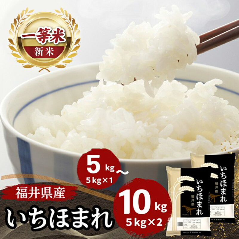 【ふるさと納税】福井県産いちほまれ 米 選べる容量 5kg 10kg [D-187001] / 食品 ご飯 お米 白米 いちほまれ ブランド米 米 コメ こめ 精米 白米 10キロ 5キロ 選べる 容量 令和7年 令和七年 7年 七年 新米 一等米