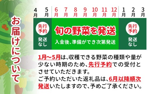 6月～11月　入金後、30日以内発送