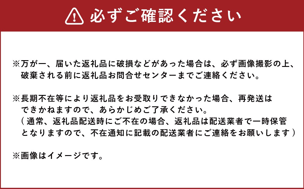 会津山塩シュークリーム10個入り