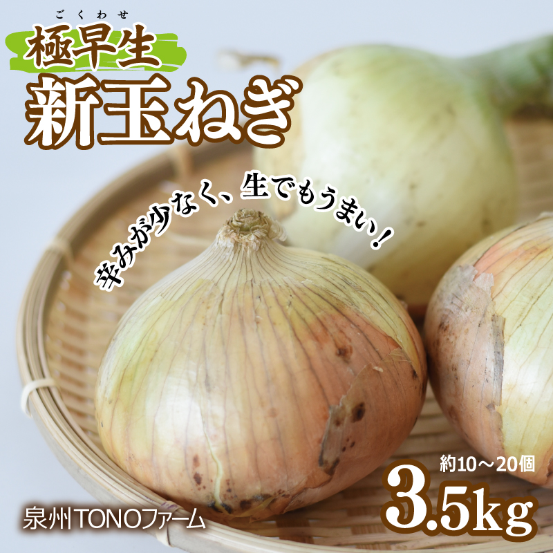 極早生 新たまねぎ 3.5kg【新鮮 野菜 泉佐野産 玉ねぎ 玉葱 やさい TONOファーム 数量限定 先行予約】