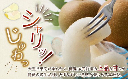 【先行予約】王秋梨 3kg前後 ※2026年10月下旬～12月上旬頃に順次発送予定 【梨 なし 果物 フルーツ くだもの 鳥取県産 北栄町 おすすめ 人気】