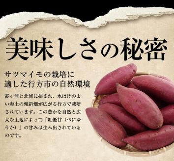 AE-30 『天皇杯受賞』さつま芋使用 紅優甘平干し芋1.4kg